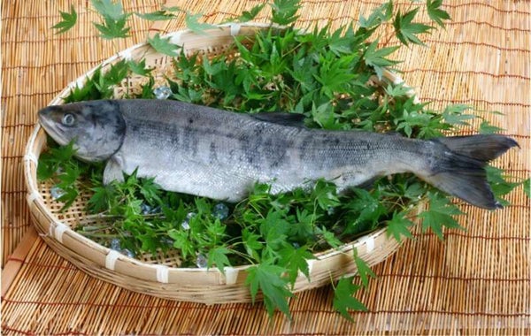 【福島・二本松・本宮発】 年度末、大判振る舞いミステリー(日帰り)3